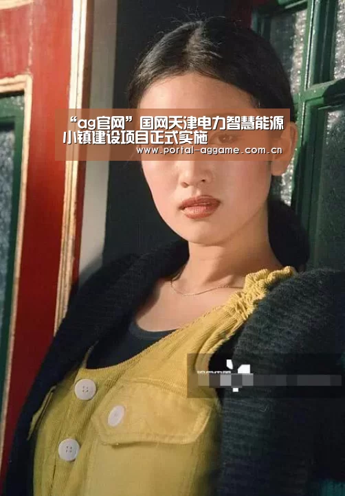 “ag官网”国网天津电力智慧能源小镇建设项目正式实施(图3) ag娱乐平台