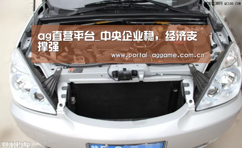 ag直营平台_中央企业稳,经济支撑强(图1) ag官网