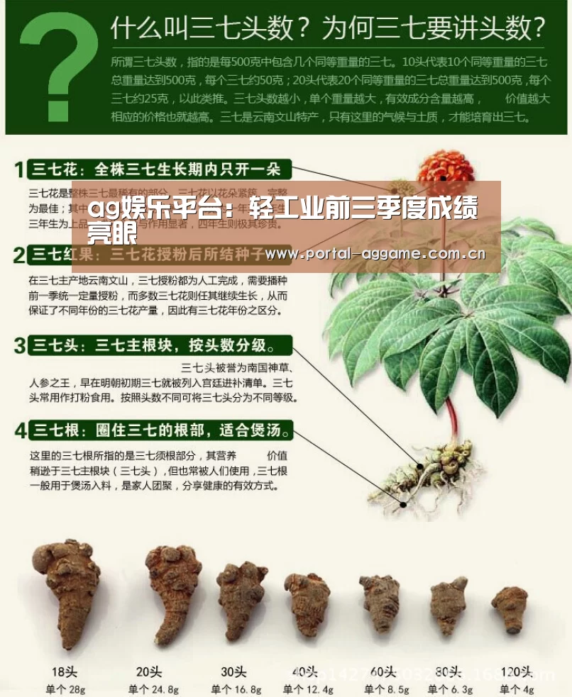ag娱乐平台:轻工业前三季度成绩亮眼(图1) ag娱乐平台