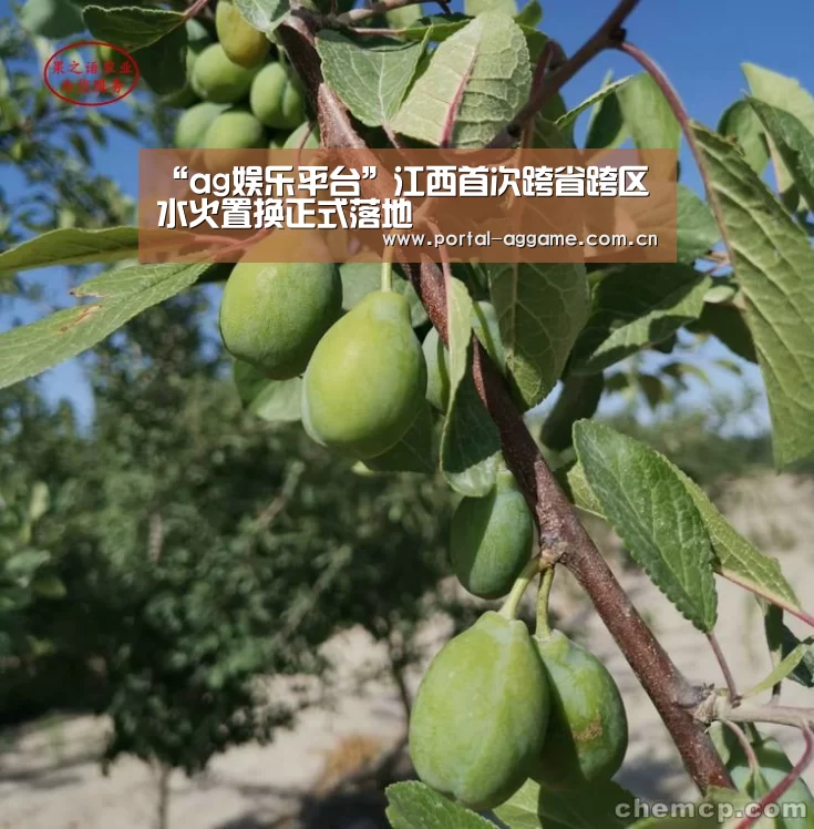 “ag娱乐平台”江西首次跨省跨区水火置换正式落地(图1) ag娱乐平台