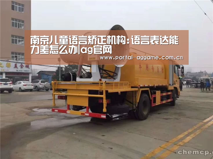 南京儿童语言矫正机构:语言表达能力差怎么办|ag官网(图3) ag娱乐平台