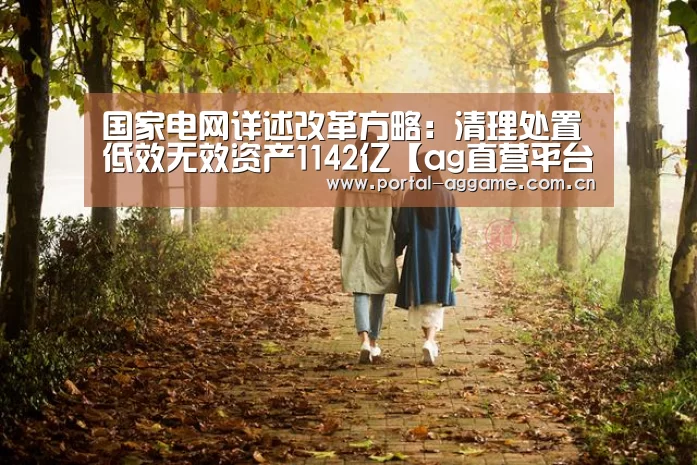 国家电网详述改革方略:清理处置低效无效资产1142亿【ag直营平台】(图2) ag娱乐平台