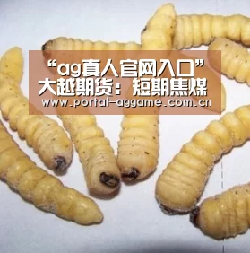 ag真人官网入口